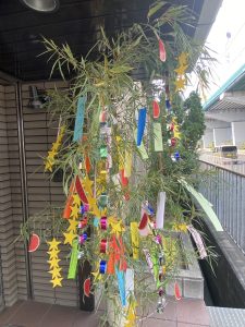 七夕と近況報告